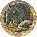 Set of Four Black Bear Coasters - Style TSRM3