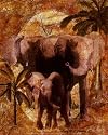 Jungle Elephants Jonnie Chardon 8x10