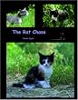 The Rat Chase