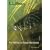 L.L. Bean Fly Fishing for Bass Handbook, Second Edition