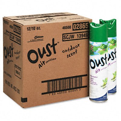 Oust Air Sanitizer, Outdoor Scent 10 oz (283 g)