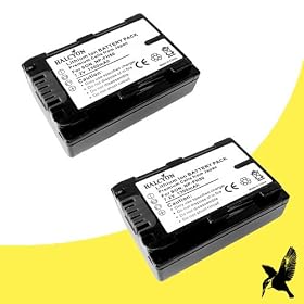 Two Halcyon 1300 mAH Lithium Ion Replacement Battery for Sony DCR-DVD508 DVD 3 Megapixel Digital Camcorder and Sony NP-FH50