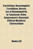 Trochilidae: Hummingbird-