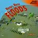 World's Worst Floods (Deadly Disasters)