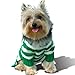 Stinky G Forest Green Stripe Dog Hoodie Sweater #10 - S