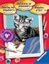 Paint-by-Number: Kitten