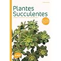 Plantes succulentes : Comment les choisir et les cultiver facilement