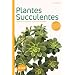 Plantes succulentes : Comment les choisir et les cultiver facilement