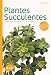 Plantes succulentes : Comment les choisir et les cultiver facilement