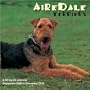 Airedale Terriers 2010 Wall Calendar