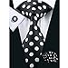 CAOFENVOO Men's Silk Tie Necktie set