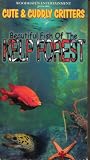 Cute & Cuddly Critters: Beautiful Fish Kelp Forest [VHS]