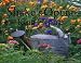 Shake's Opera King Elephas (sing-a-long) at Amazon Books: 51jBZhpyEkL._SL75_