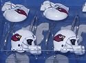 Arizona CARDINALS NFL Set Bathroom Shower Curtain Hooks Rings