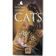 Buy A&E's Incredible World of Cats