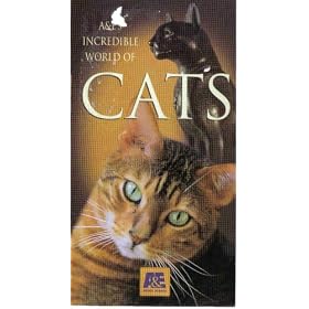 Buy  A&E's Incredible World of Cats  now!
