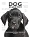 The Dog Selector: How to Choose the Right Dog for You
