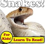 Snakes! Learn About Snakes While Learning To Read - Snake Photos And Facts Make It Easy! (Over 45+ Photos of Snakes)