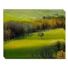 Blue Garden Designs #63814OD Solo Outdoor Canvas Art, 40-inch-by-30-inch by 