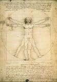 Da Vinci, Leonardo - Anatomie - Plakat Poster Bilder