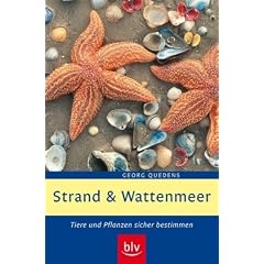 Strand und Wattenmeer: Tiere und Pflanzen sicher bestimmen
