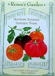 Heirloom Tomato Summer Feast Seeds 75 Seeds