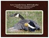 Love Canada Geese 2010 Calendar