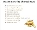 Sunbest Natural - Whole Brazil Nuts, 48 oz (3 lbs) - Distinct and Superior to Organic | Non-GMO | Vegan | Paleo | Keto Friendly | Kosher | Resealable Bag for Freshness - 48 oz (3 lbs)