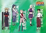 Naruto Shippuden Wall Scroll The Girls