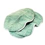 Bissell 2032158 BISSELL MICROFIBER STEAM MOP PADS - 2 PACK