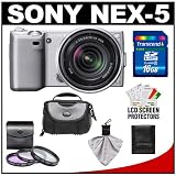 Sony Alpha NEX-5 Digital Camera Body & E 18-55mm OSS Compact Interchangeable Lens (Silver) with 16GB Card + Battery + Case + Accessory Kit
