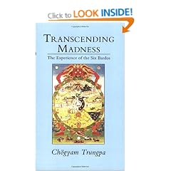Transcending Madness: The Experience of the Six Bardos