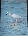 The Wetland Bird Survey: Wildfowl and Wader Counts at Amazon Books: 51jCidf53RL._SL75_