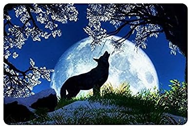 Go Dating thickness,Cool Design Night Moon Wolf Fabric Floor Mats Living Room Bedroom Doormat Indoor with Anti-slip Backing 23.6(L) x 15.7(W)