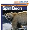 Spirit Bears (Welcome to the World Series)