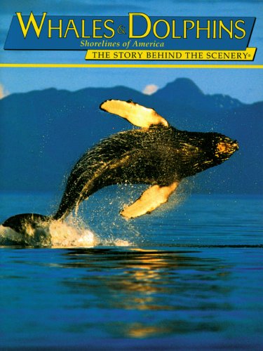 Whales & Dolphins, Shorelines of America: The Story Behind the Scenery