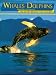 Whales & Dolphins, Shorelines of America: The Story Behind the Scenery