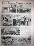 1917 の Ww1 大将 Demetz アルザスの海底ネット押さえ ネットプリント
