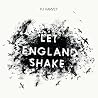 Image of album by PJ Harvey
