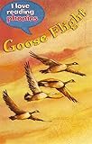Goose flight