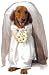 Bride Dog Wedding Bridal Veil Size XS