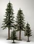 Vickerman christmas Trees B807340 48 Natural Alpine Tree 351T Metal Stand