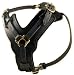 rottweiler32 - Leathermediumblackhandmade High Quality Dog Harness for Medium Dogs