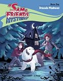 Dracula Madness (A Sam & Friends Mystery) Dracula Madness (A Sam & Friends Mystery) cover image