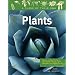 Plants: Flowering Plants, Ferns, Mosses, and Other Plants (A Class of Their Own)