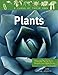 Plants: Flowering Plants, Ferns, Mosses, and Other Plants (Class of Their Own)
