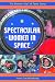 Spectacular Women in Space (Women's Hall of Fame Series)