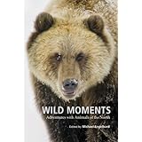 wild moments adventures with animals of the north