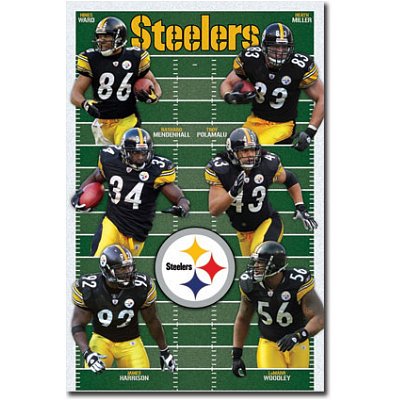 Pittsburgh Steelers Team Field Sports Poster Print - 22x34