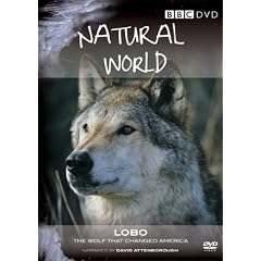 Natural World - Lobo: The Wolf that Changed America [DVD]